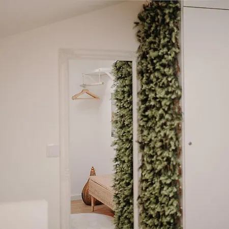 Apartamento Nature Cosy Private House,w/ac Downtown Near Metro Porto